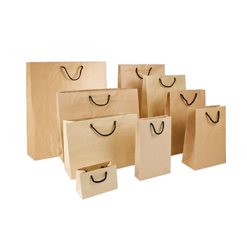 Paper Bag Manufacturer